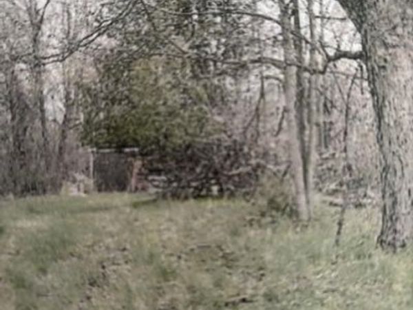 59790 County Road 380, Bangor, MI 49013