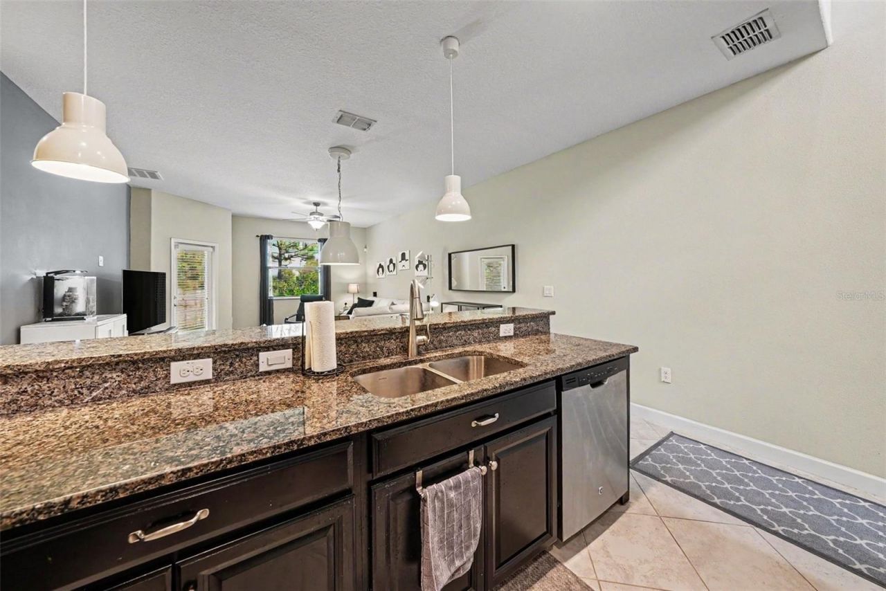 28504 Tranquil Lake Circle, Wesley Chapel, FL 33543 Photo