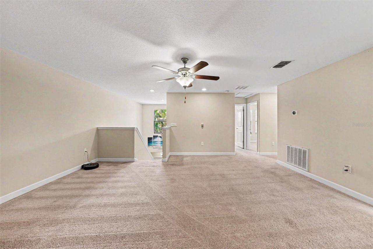 28504 Tranquil Lake Circle, Wesley Chapel, FL 33543 Photo