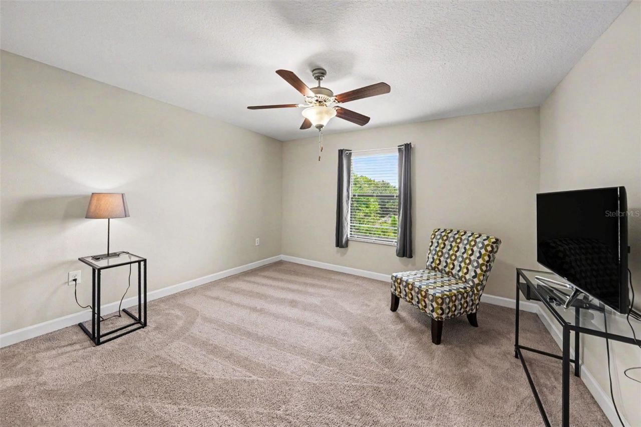 28504 Tranquil Lake Circle, Wesley Chapel, FL 33543 Photo