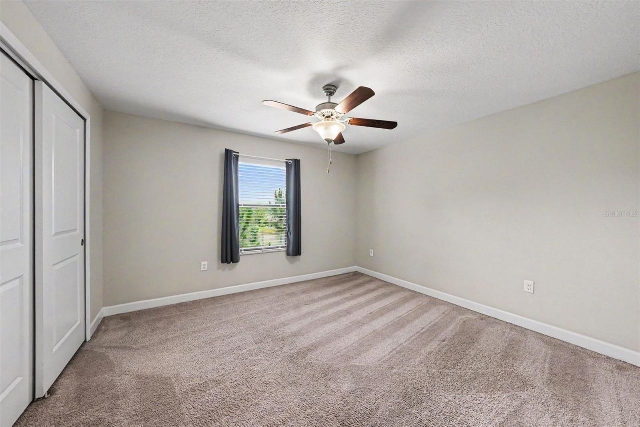 28504 Tranquil Lake Circle, Wesley Chapel, FL 33543 Photo