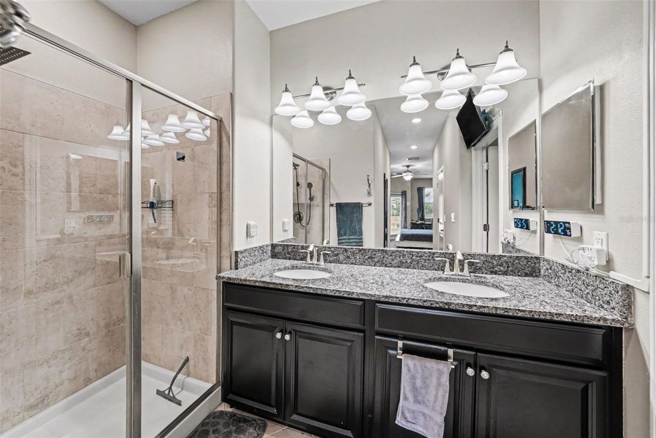 28504 Tranquil Lake Circle, Wesley Chapel, FL 33543 Photo
