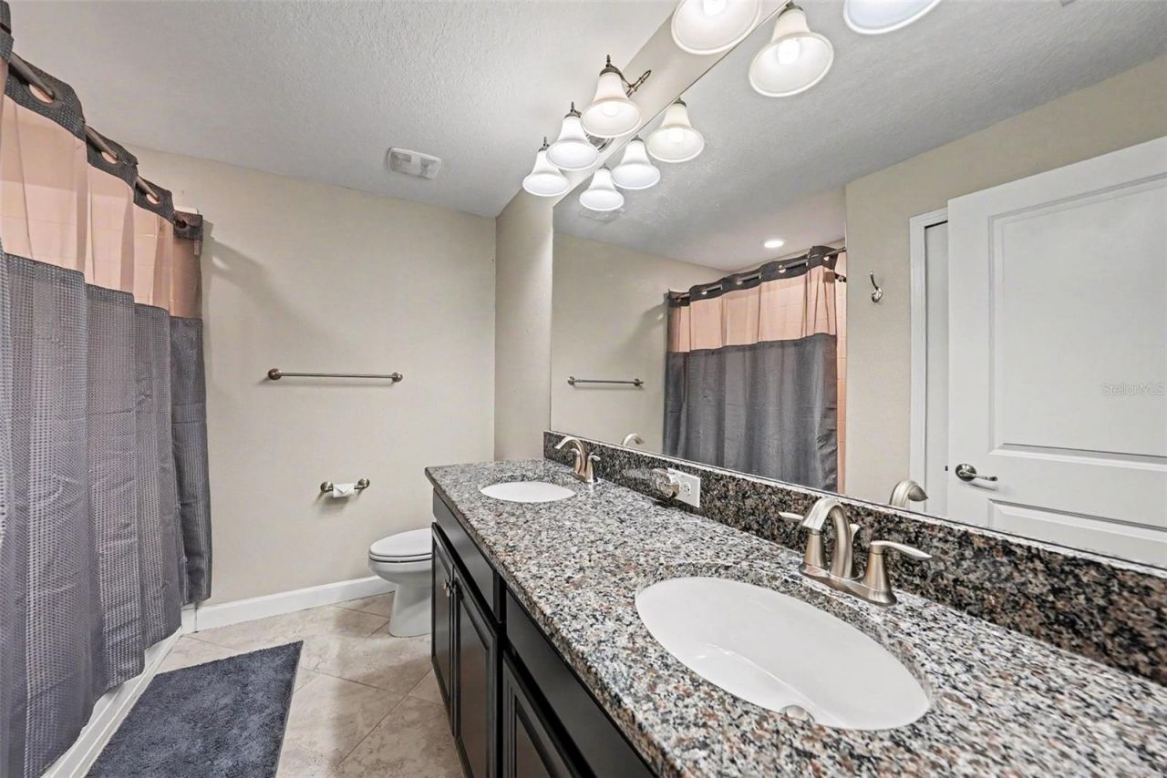 28504 Tranquil Lake Circle, Wesley Chapel, FL 33543 Photo