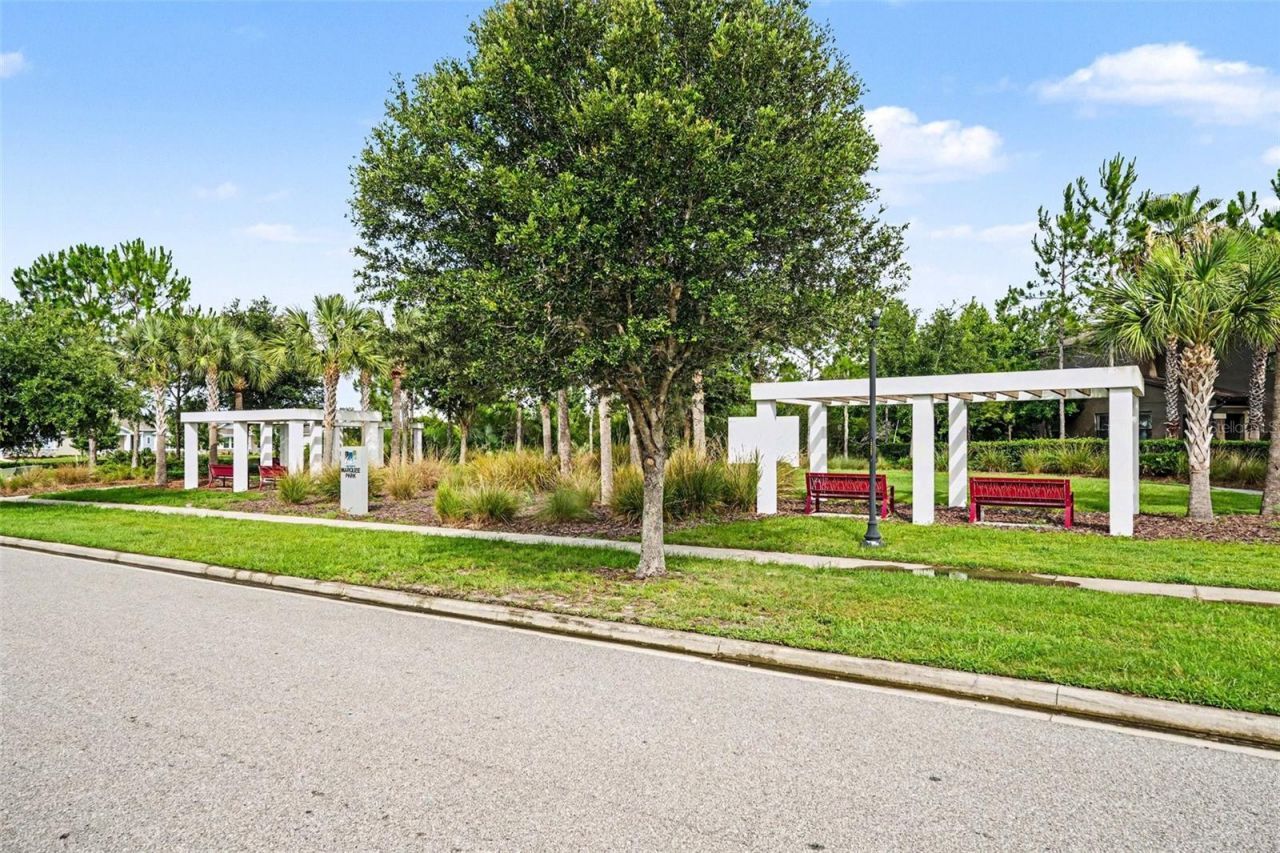28504 Tranquil Lake Circle, Wesley Chapel, FL 33543 Photo
