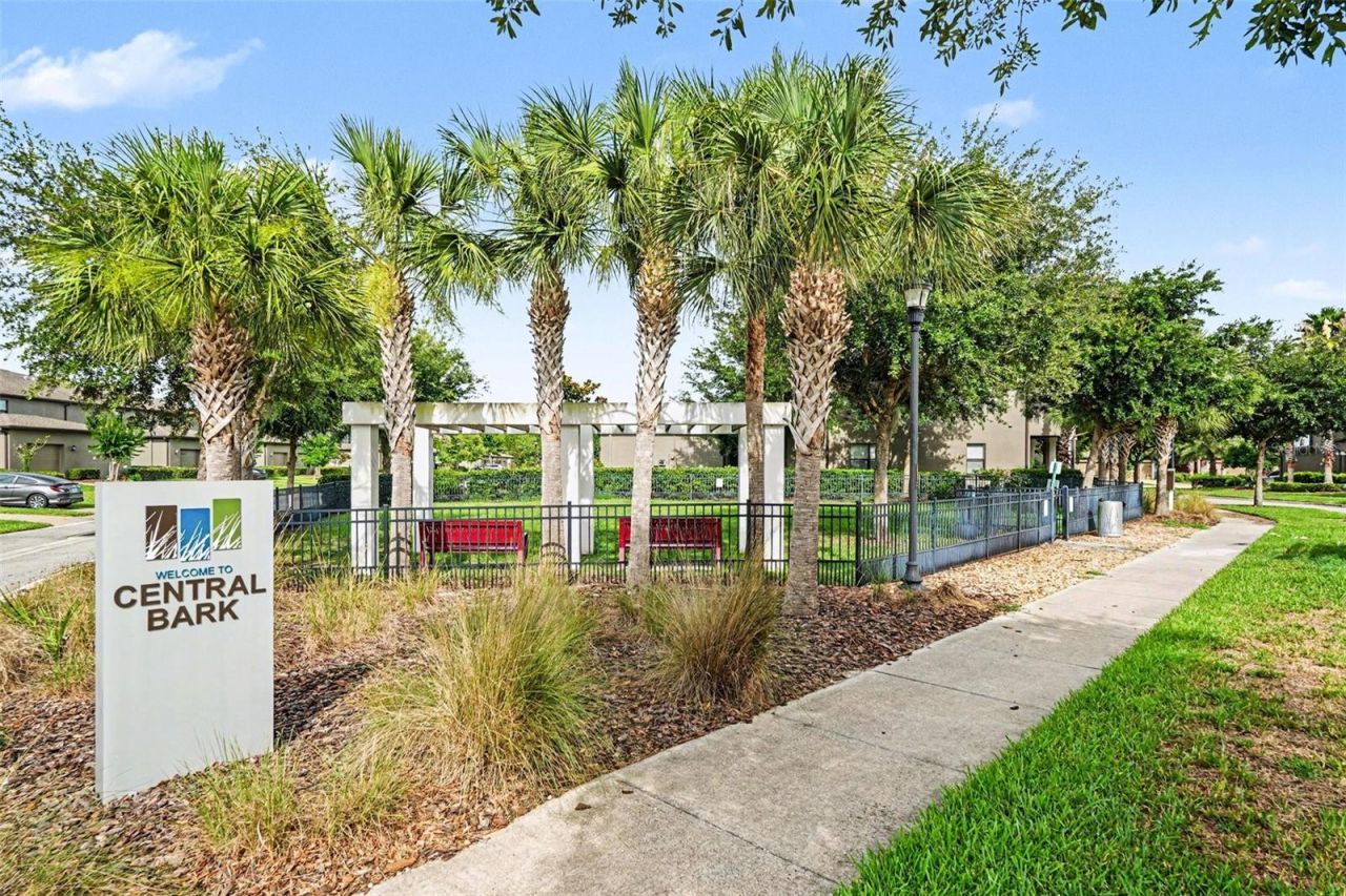 28504 Tranquil Lake Circle, Wesley Chapel, FL 33543 Photo