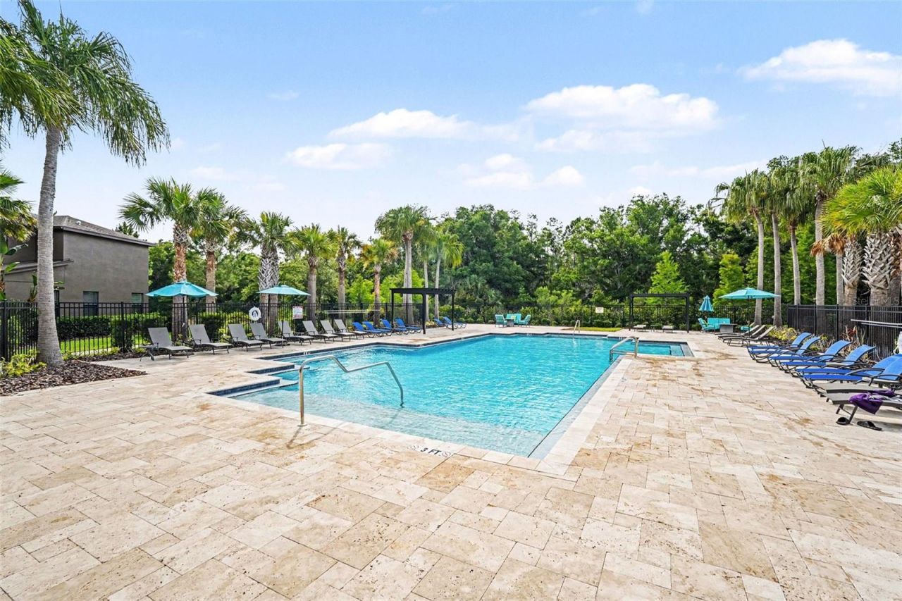 28504 Tranquil Lake Circle, Wesley Chapel, FL 33543 Photo