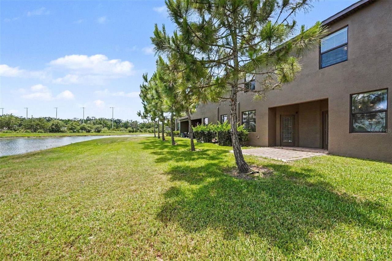 28504 Tranquil Lake Circle, Wesley Chapel, FL 33543 Photo