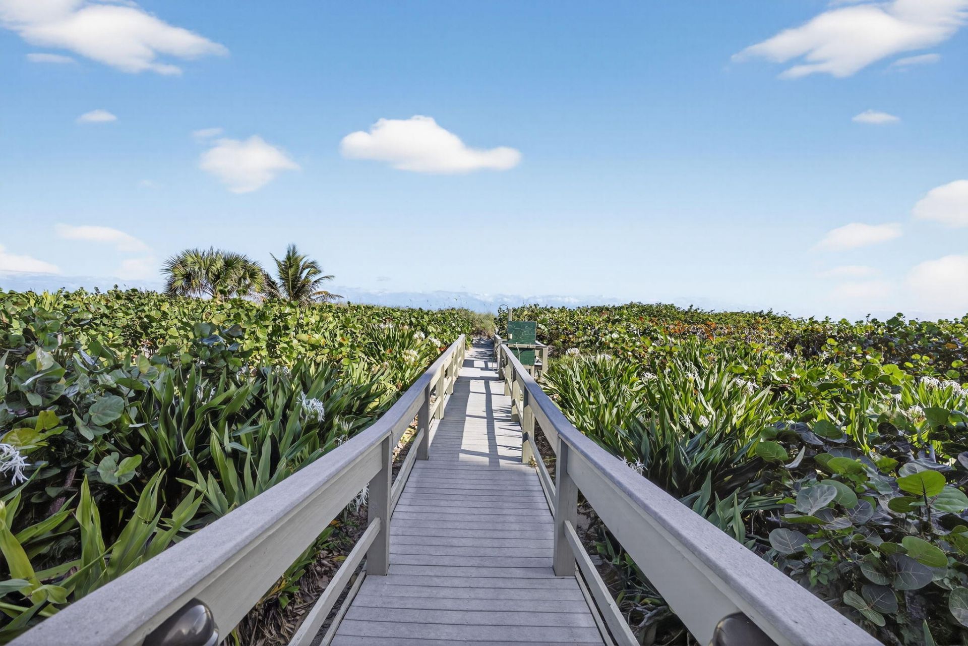 3400 N Ocean Drive, Unit 1406, Singer Island, FL 33404 Photo