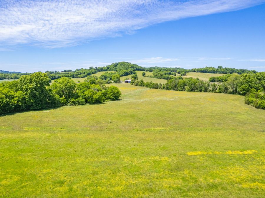 Property Image 55