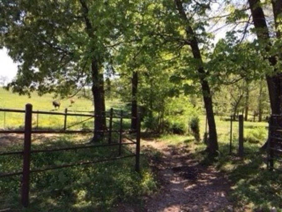 Property Image 23