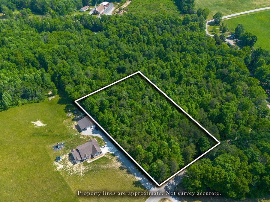 Property Image 4