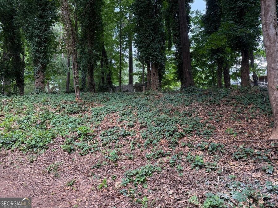 Property Image 33