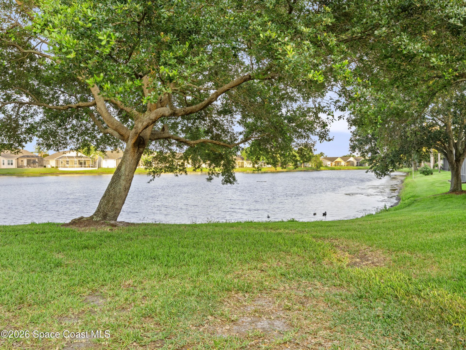 1665 Ficus Point Drive , Melbourne, FL 32940 Photo