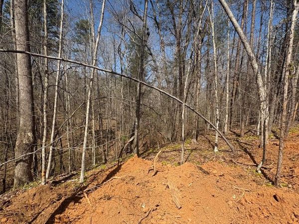 TBD Avenida De Oro Road , Morganton, NC 28655