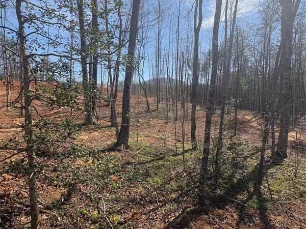 TBD Avenida De Oro Road , Morganton, NC 28655