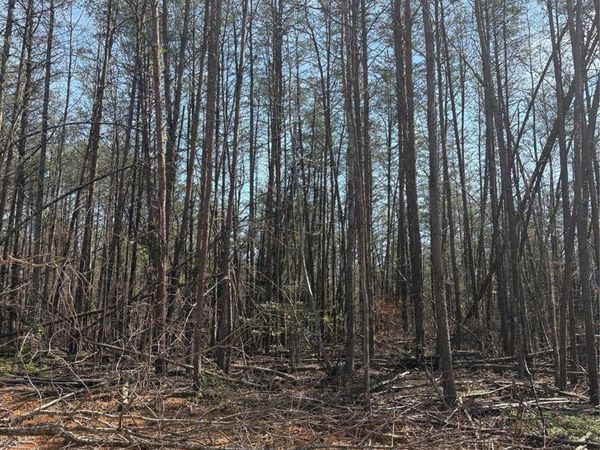 TBD Avenida De Oro Road , Morganton, NC 28655