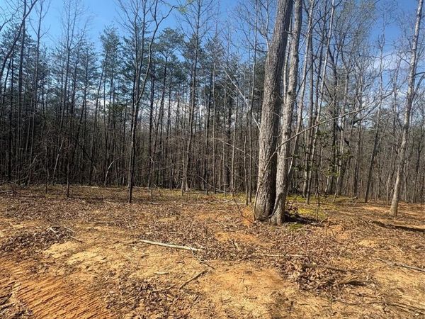 TBD Avenida De Oro Road , Morganton, NC 28655