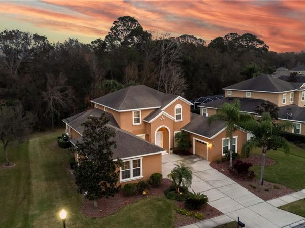 3350 WATERMARK DRIVE , WESLEY CHAPEL, FL 33544