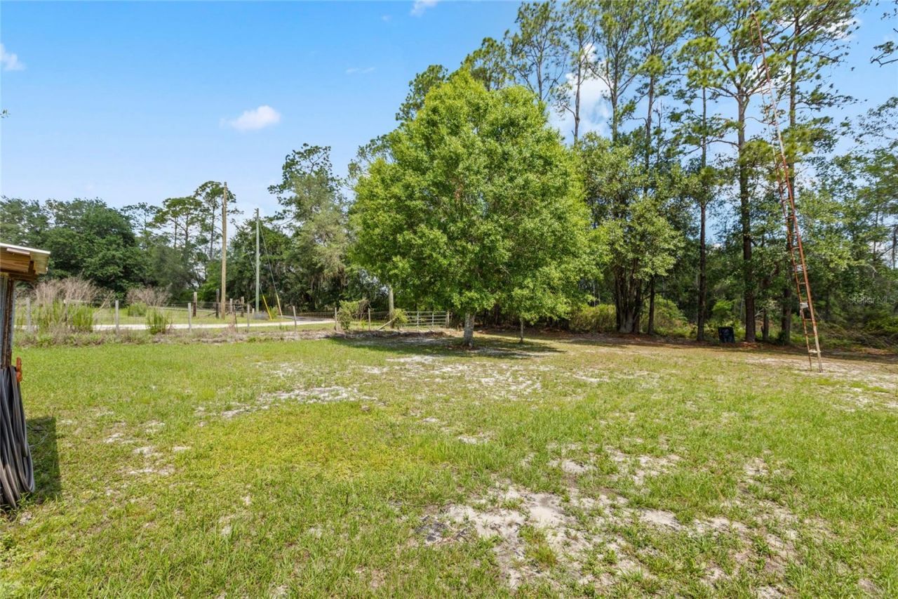 11115 SW 105th Street , Brooker, FL 32622 Photo