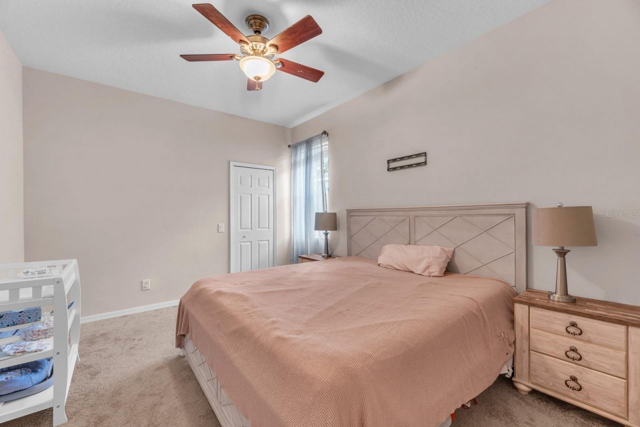 9625 Baton Rouge Lane, Land O Lakes, FL 34638 Photo