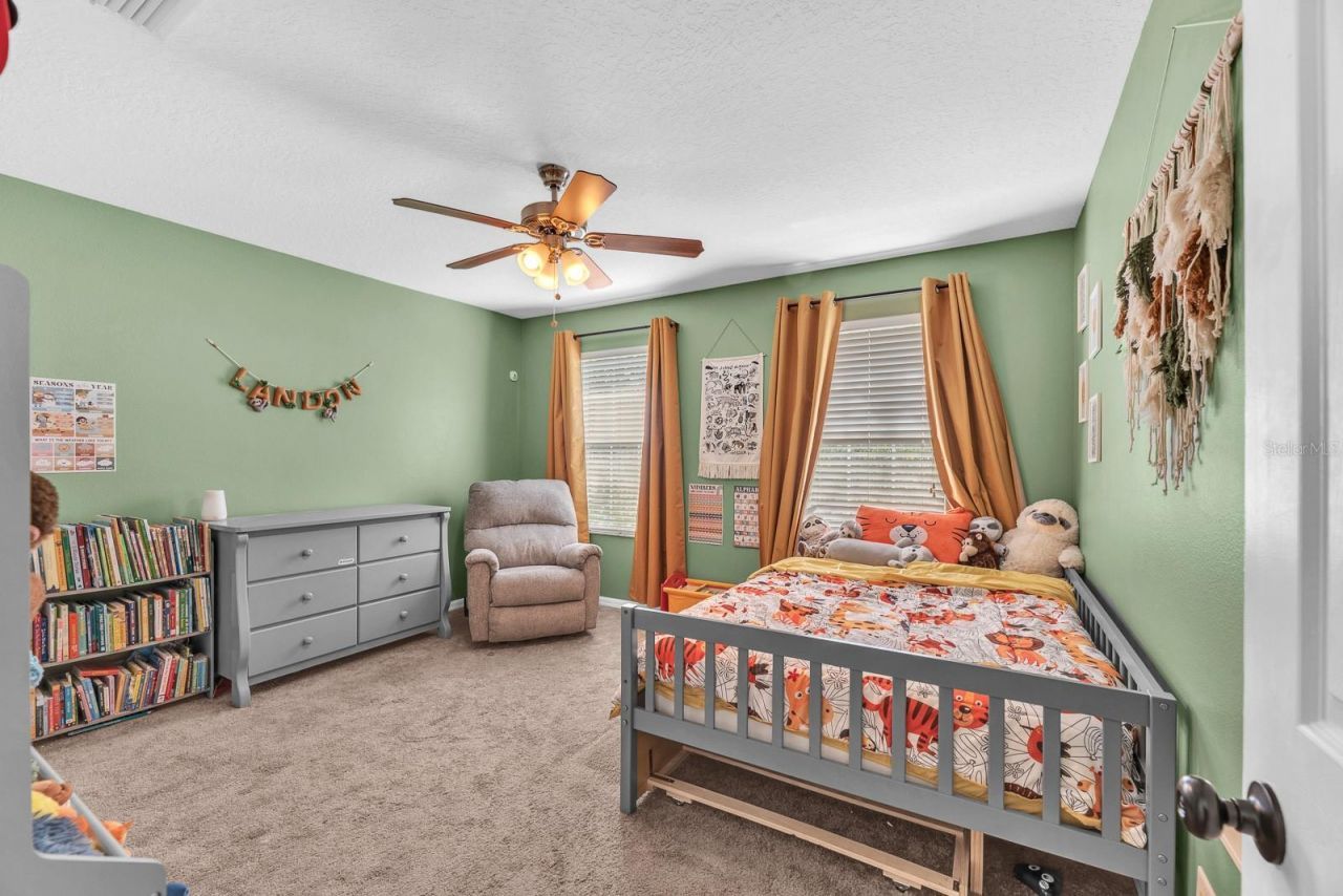 9625 Baton Rouge Lane, Land O Lakes, FL 34638 Photo