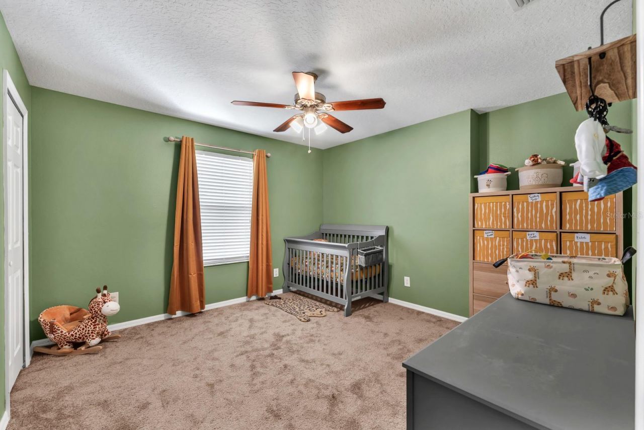9625 Baton Rouge Lane, Land O Lakes, FL 34638 Photo