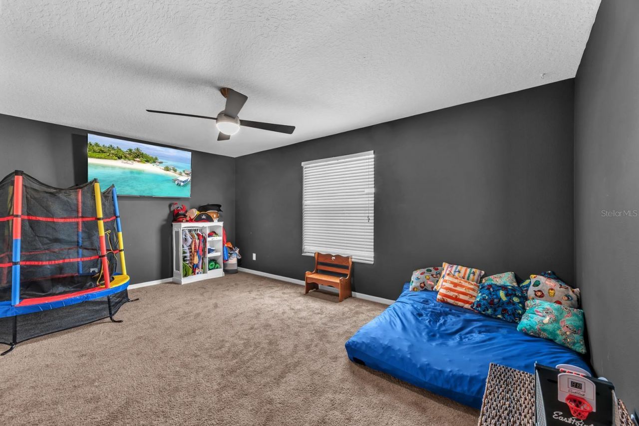 9625 Baton Rouge Lane, Land O Lakes, FL 34638 Photo