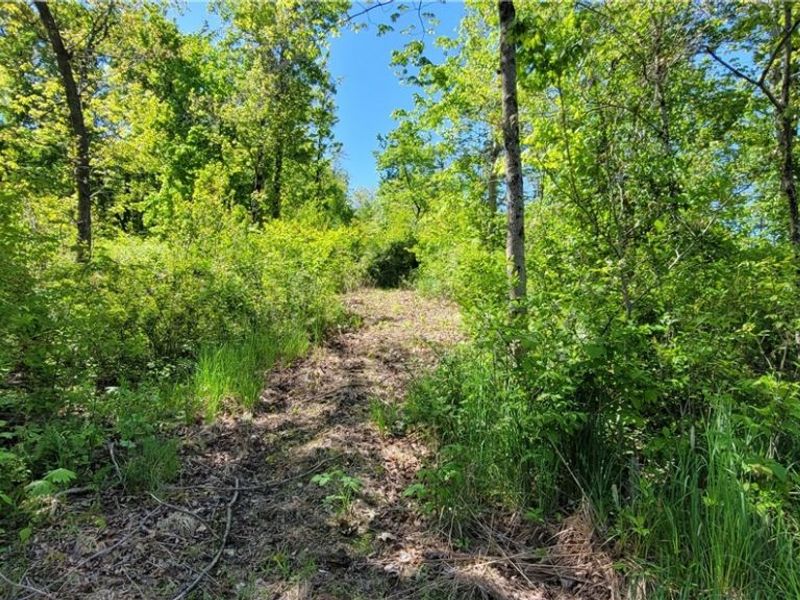 72577 Old Twenty-One Road , Kimbolton, OH 43749 Photo 10