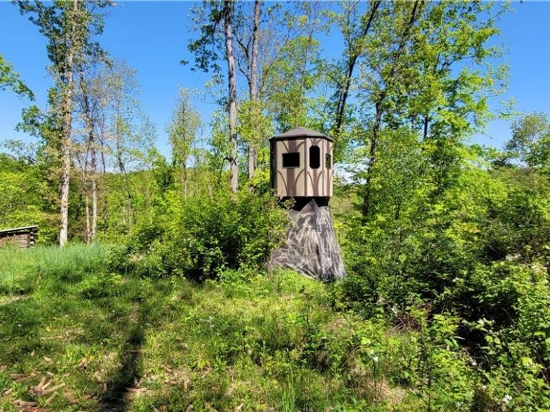 72577 Old Twenty-One Road , Kimbolton, OH 43749 Photo 11