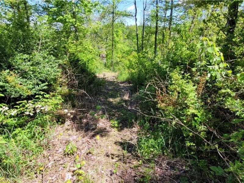 72577 Old Twenty-One Road , Kimbolton, OH 43749 Photo 13