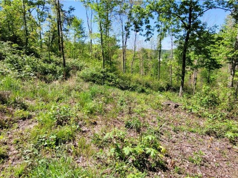 72577 Old Twenty-One Road , Kimbolton, OH 43749 Photo 16