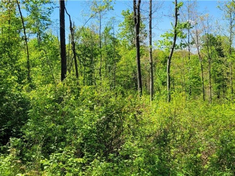 72577 Old Twenty-One Road , Kimbolton, OH 43749 Photo 17