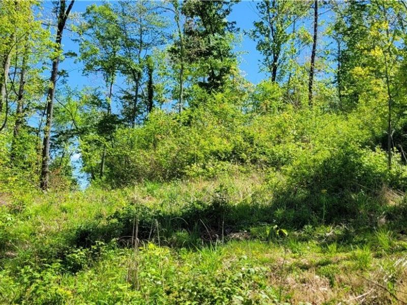 72577 Old Twenty-One Road , Kimbolton, OH 43749 Photo 18