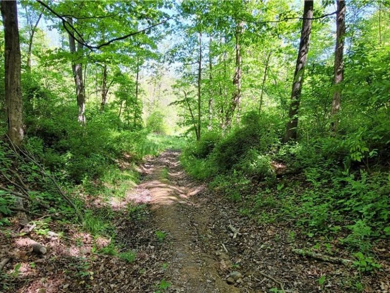 72577 Old Twenty-One Road , Kimbolton, OH 43749 Photo 2