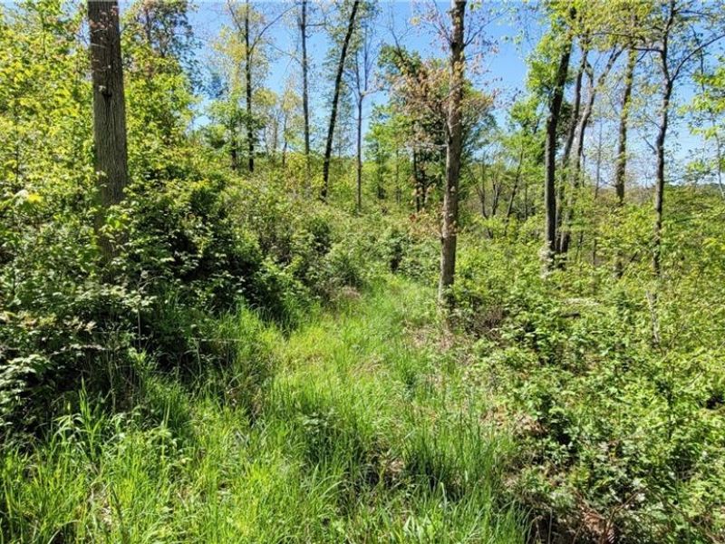 72577 Old Twenty-One Road , Kimbolton, OH 43749 Photo 20