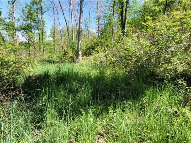 72577 Old Twenty-One Road , Kimbolton, OH 43749 Photo 26