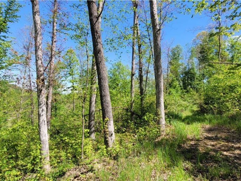 72577 Old Twenty-One Road , Kimbolton, OH 43749 Photo 28