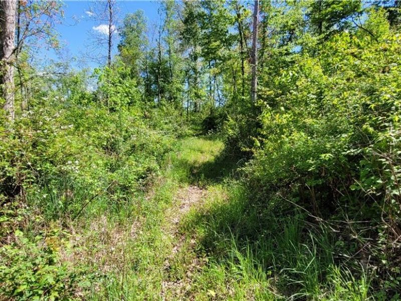 72577 Old Twenty-One Road , Kimbolton, OH 43749 Photo 29
