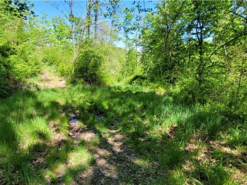 72577 Old Twenty-One Road , Kimbolton, OH 43749 Photo 3