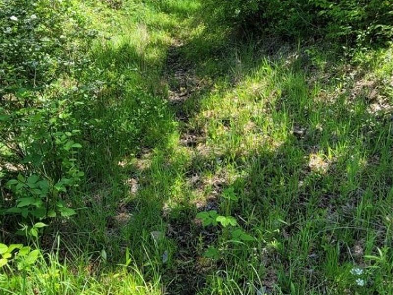 72577 Old Twenty-One Road , Kimbolton, OH 43749 Photo 30
