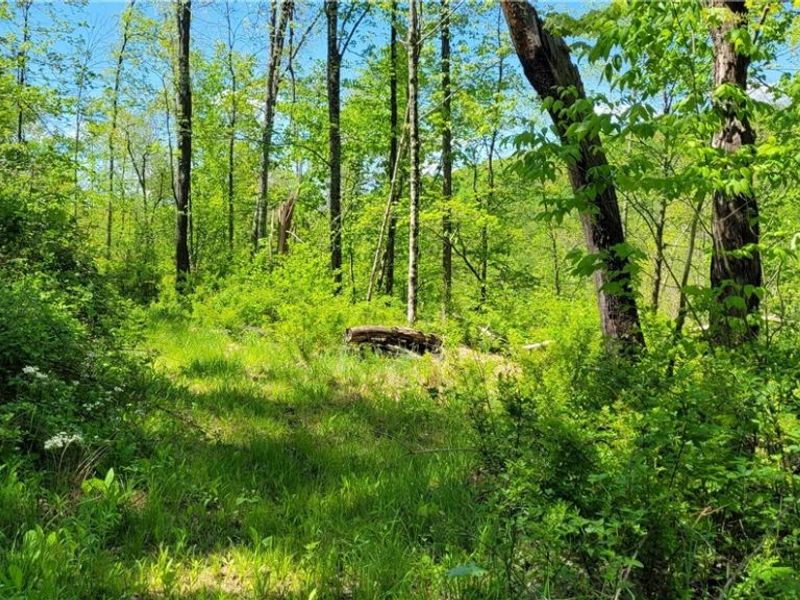 72577 Old Twenty-One Road , Kimbolton, OH 43749 Photo 32