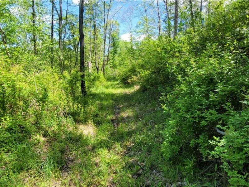 72577 Old Twenty-One Road , Kimbolton, OH 43749 Photo 34