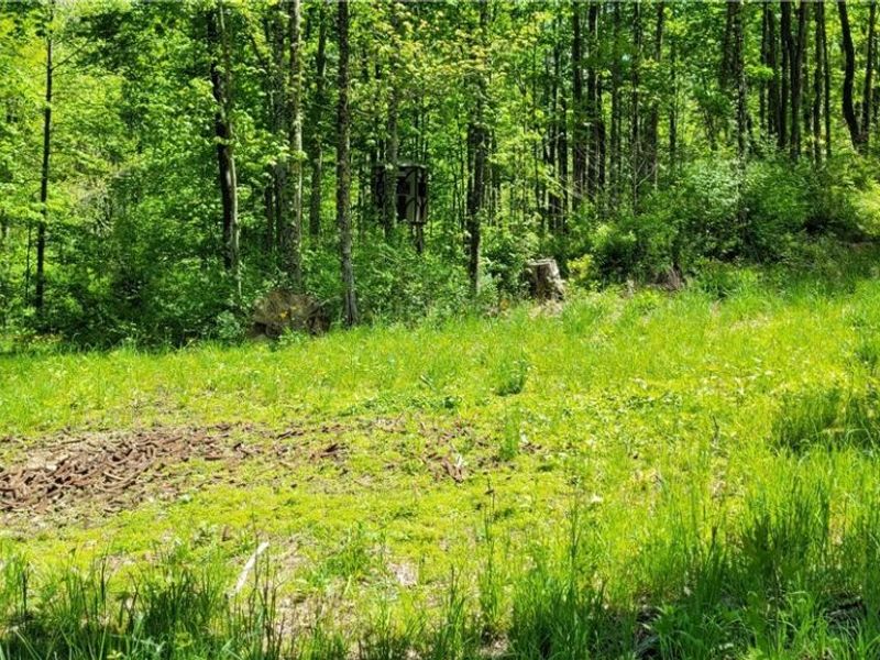 72577 Old Twenty-One Road , Kimbolton, OH 43749 Photo 35