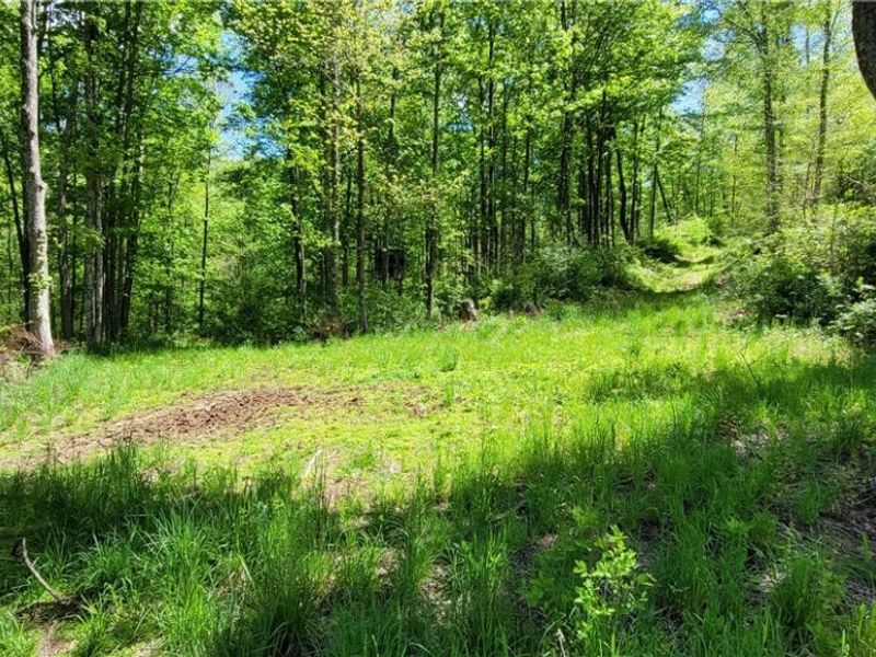 72577 Old Twenty-One Road , Kimbolton, OH 43749 Photo 36