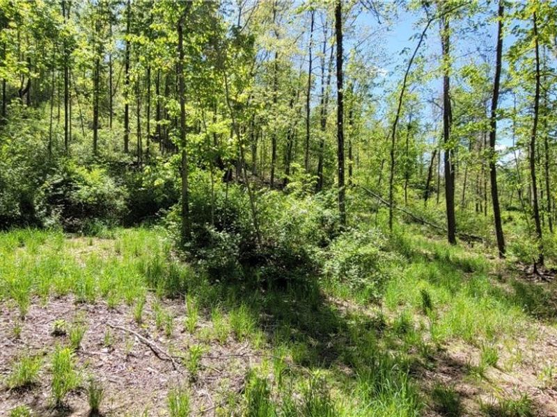 72577 Old Twenty-One Road , Kimbolton, OH 43749 Photo 37