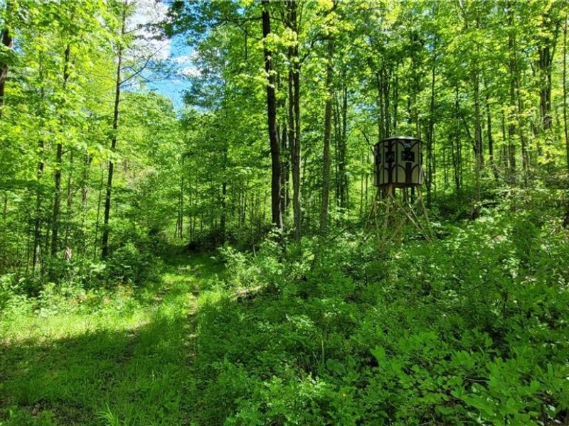 72577 Old Twenty-One Road , Kimbolton, OH 43749 Photo 38