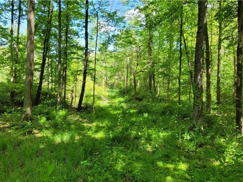 72577 Old Twenty-One Road , Kimbolton, OH 43749 Photo 39