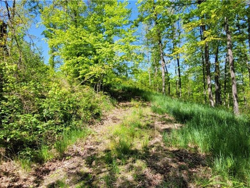72577 Old Twenty-One Road , Kimbolton, OH 43749 Photo 4