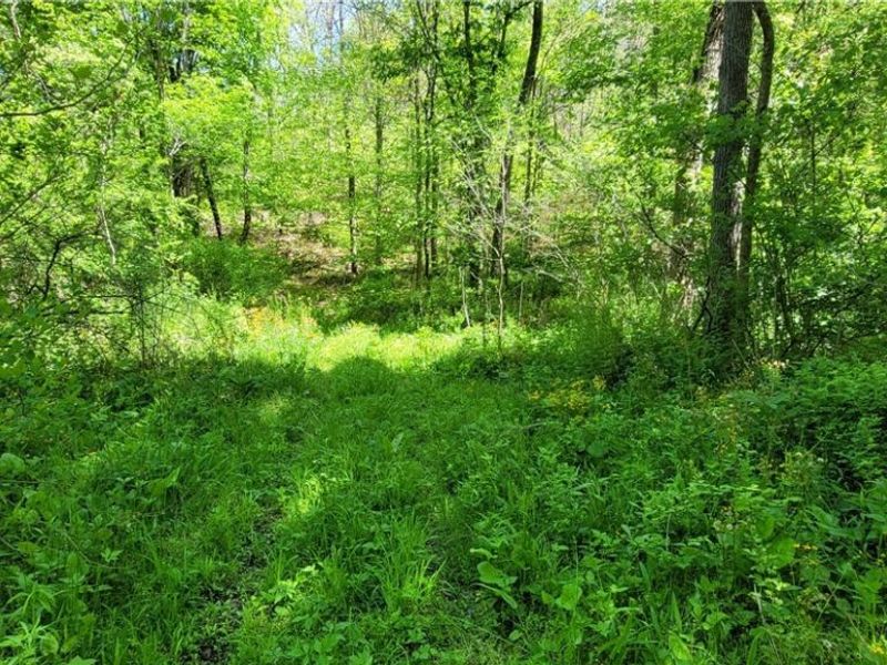 72577 Old Twenty-One Road , Kimbolton, OH 43749 Photo 45