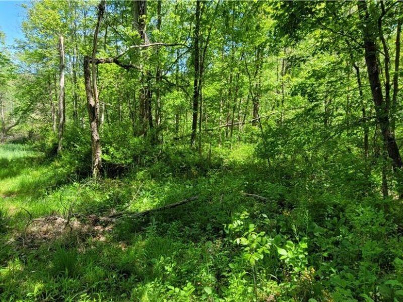 72577 Old Twenty-One Road , Kimbolton, OH 43749 Photo 47